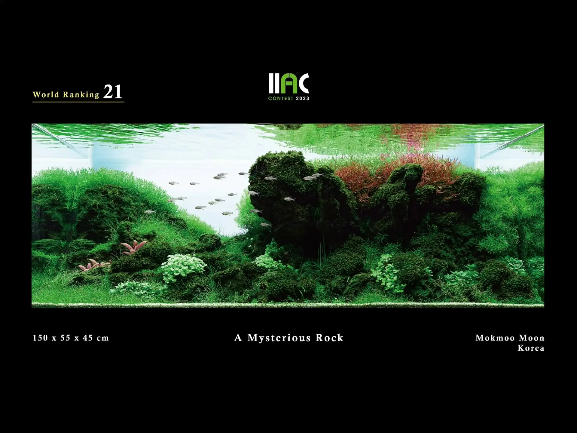 A Mysterious Rock - IIAC 2023 #21 Mokmoo Moon / South Korea